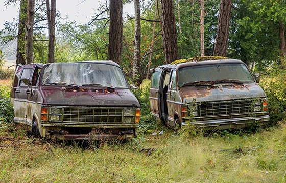 Two old vans parked in the woods near trees, showcasing a potential site for Cash for Junk Vans.