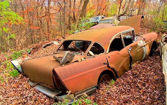 An old rusty car abandoned in the woods, symbolizing the need for reliable junk car removal services.