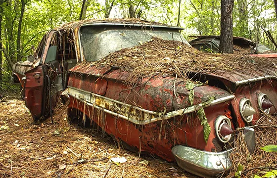 An old car abandoned in the woods symbolizes the need for junk car removal services in Suwanee GA.